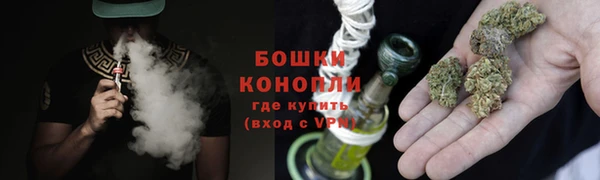 ГАЛЛЮЦИНОГЕННЫЕ ГРИБЫ Лихославль
