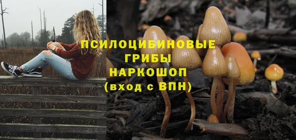 круглые Майский